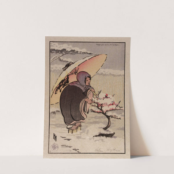 Little Pink Plum by Helen Hyde