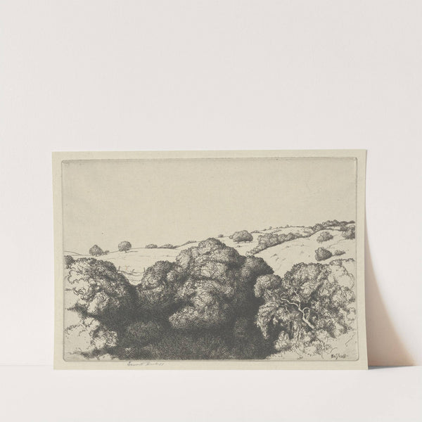 Live Oak Shadows (1900-1925) by Ernest Haskell