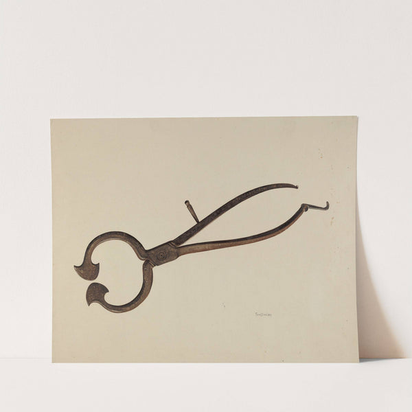 Loaf Sugar Cutter by Thomas Dooley