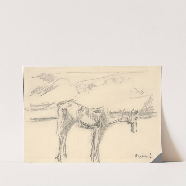 Lonely Horse by Cyprián Majerník