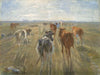 Long Shadows. Cattle on the Island of Saltholm