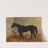 Longfellow (A Dark Bay Racehorse) in a Stable by Henry Stull