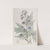 Loose-flowered Larkspur by Sydenham Edwards