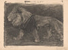 Lopende leeuw (1905)