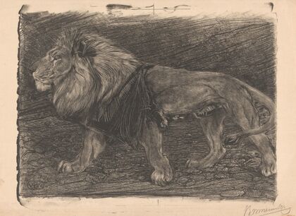 Lopende leeuw (1905)