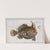 Lophius Histrio, The American Toad-Fish. by Marcus Elieser Bloch