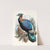 Lophophorus Lhuysii. by Joseph Smit