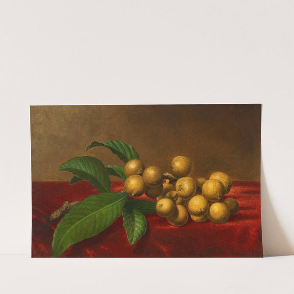 Loquats on Red Velvet by Martin Johnson Heade