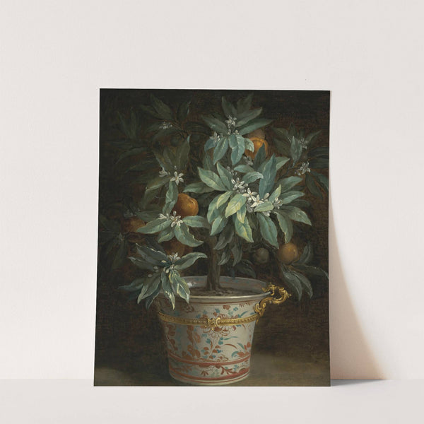 L’oranger (1740) by Jean-Baptiste Oudry