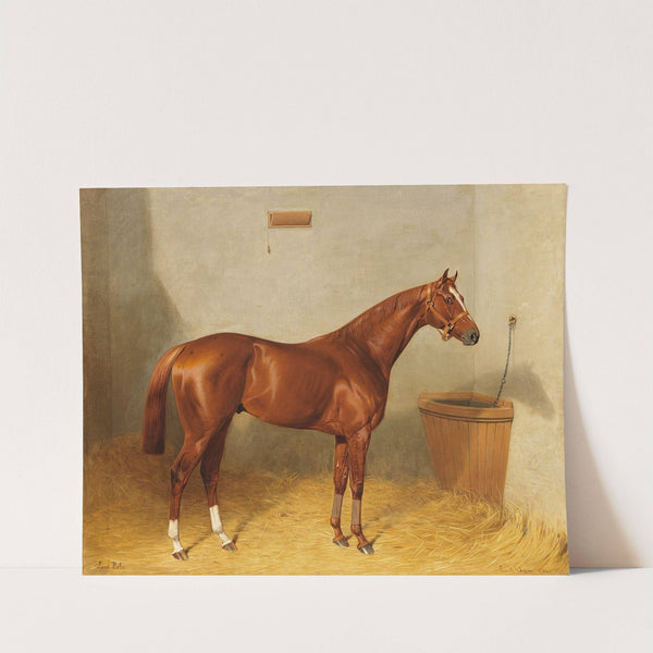 Lord Bobs im Stall by Emil Adam