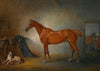 Lord Henry Bentinck’s Chestnut Hunter Firebird And Policy, A Foxhound, In A Loose Box