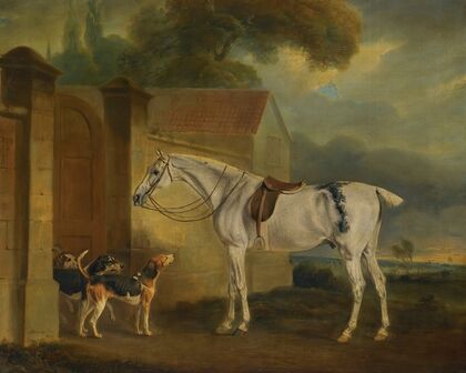 Lord Lonsdale’s Fleabitten Grey Hunter, Brass, At Cottesmore With The Cottesmore Hounds (1818)