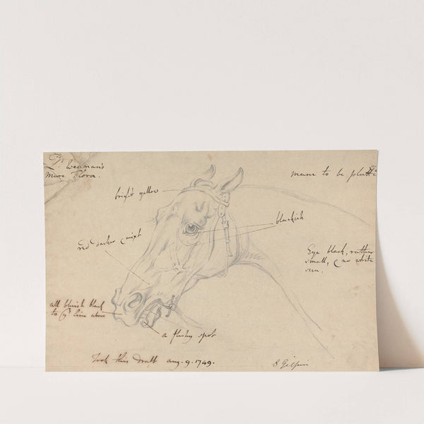 Lord Wennan's Mare Flora by Sawrey Gilpin