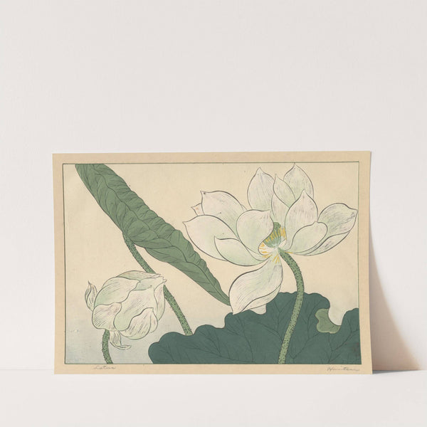 Lotus by Sakai Hōitsu