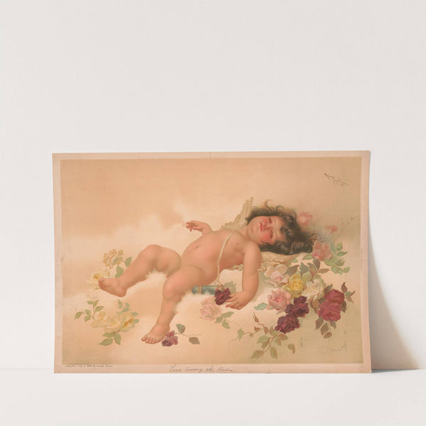 Love among the roses (1894) by Joseph Hoover