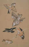 Love leading the Pilgrim – Study of Birds; Finches