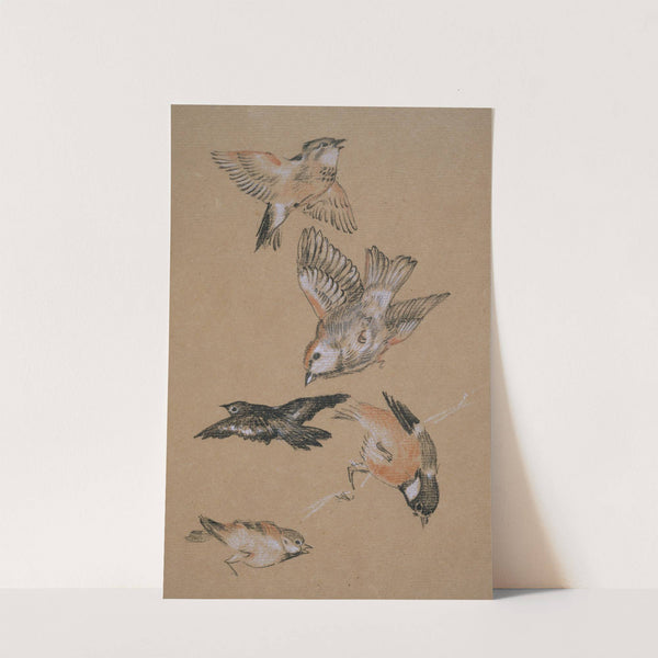 Love leading the Pilgrim - Study of Birds; Finches by Sir Edward Coley Burne-Jones