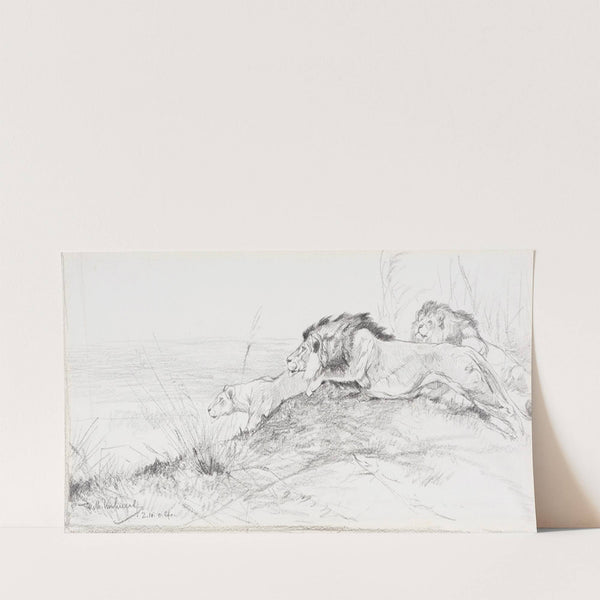 Löwen auf der Lauer (1900) by Wilhelm Kuhnert