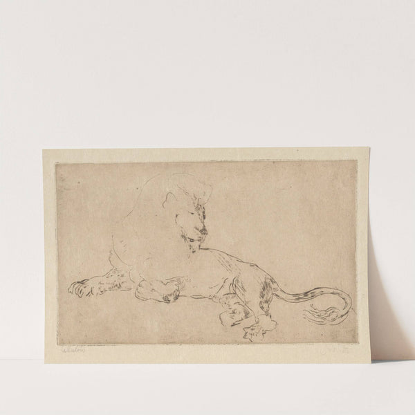 Löwenstudie (1910) by Albert Welti