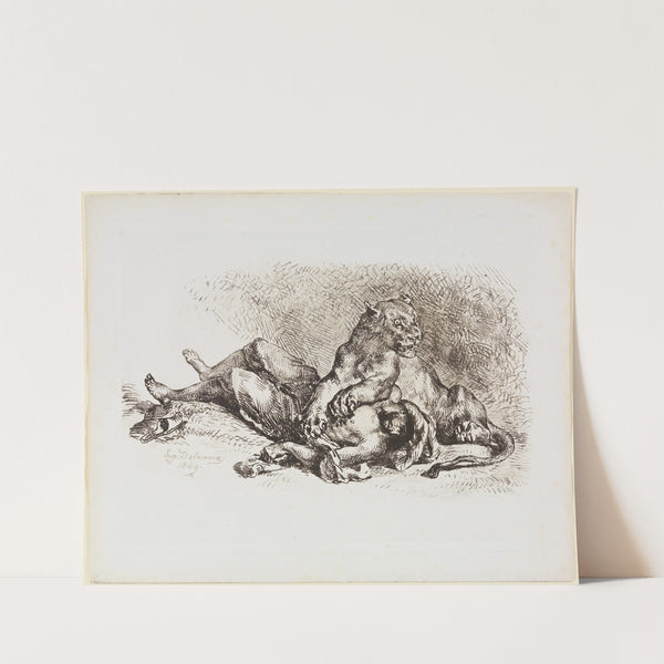 Löwin, die Brust eines Arabers zerreißend (1849) by Eugène Delacroix
