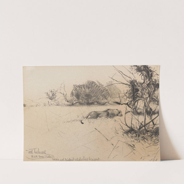 Löwin, sich drückend in Sicherheit bringend (1905) by Wilhelm Kuhnert