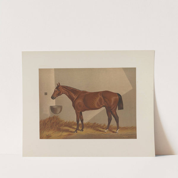 Luke Blackburn (1881-1882) by Henry Stull