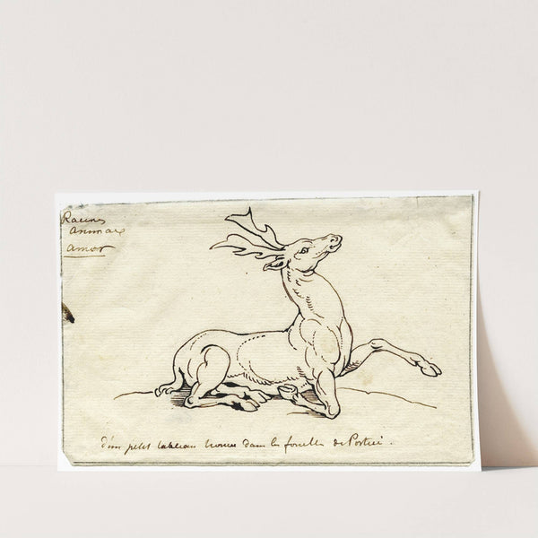 Lying deer by David Humbert de Superville