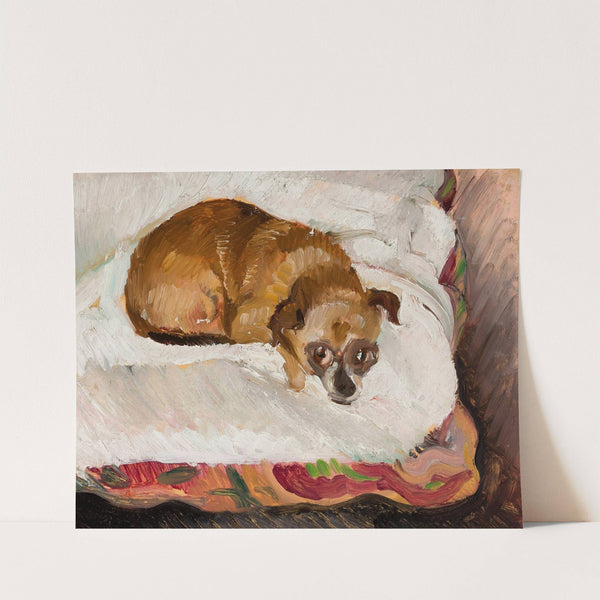 Lying dog by Zygmunt Waliszewski