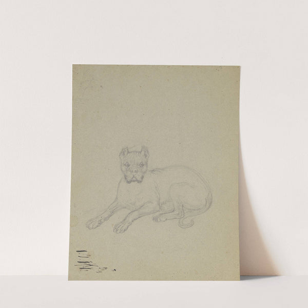 Lying dog by Ferdinand Fellner