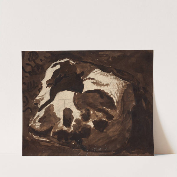 Lying spaniel by Félix Bracquemond