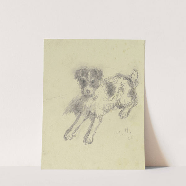 Lying terrier by Jacob Happ