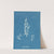 Lyngbya Carmichaelii (1843-1853) by Anna Atkins