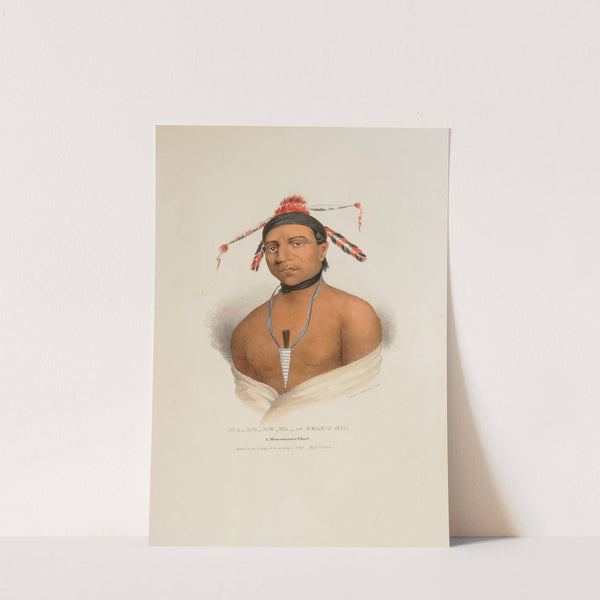 MA-KO-ME-TA or the Bear’s Oil; A Monomonie Chief (1835) by James Otto Lewis