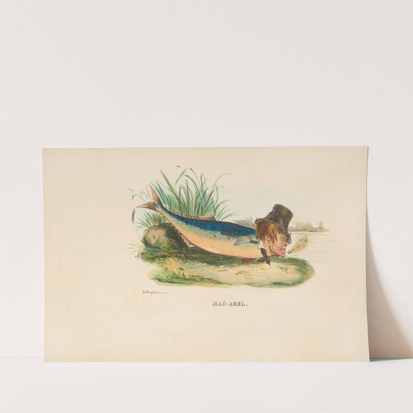 Mac-Arel (1851) by Henry Louis Stephens