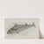 Mackerel (1889) by Allen & Ginter