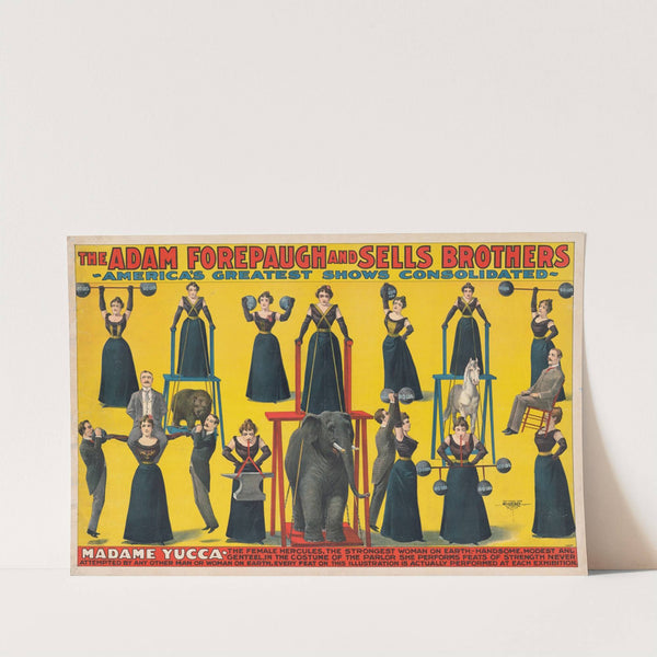 Madame Yucca, the female Hercules, the strongest woman on Earth (1898) by Courier Litho. Co.