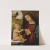 Madonna and Child holding a goldfinch by Master of the Assumption of the Magdalene