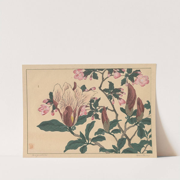 Magnolia by Sakai Hōitsu