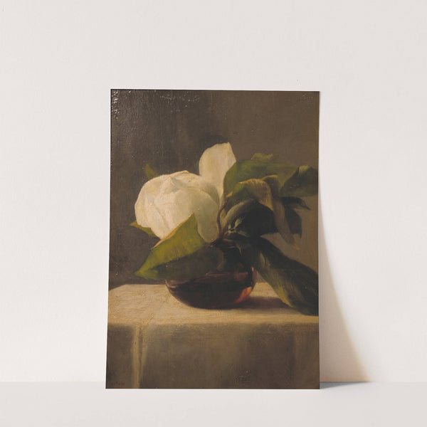 Magnolia (1860) by John La Farge