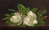Magnolias on a Shiny Table (circa 1885-95)