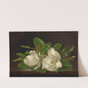 Magnolias on a Shiny Table (circa 1885-95) by Martin Johnson Heade