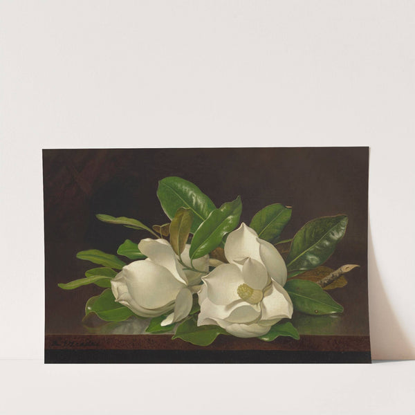 Magnolias on a Shiny Table (circa 1885-95) by Martin Johnson Heade