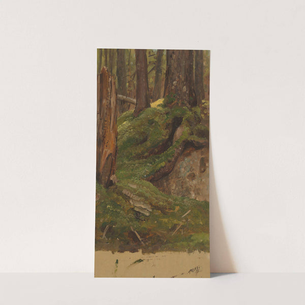 Maine woods (1855–65) by Frederic Edwin Church