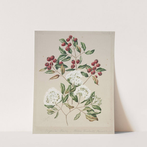 Maire-Tawake by Sarah Featon