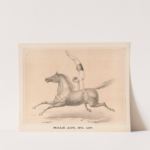 Male act, no. 107 (1872) by Gibson & Co. Lith