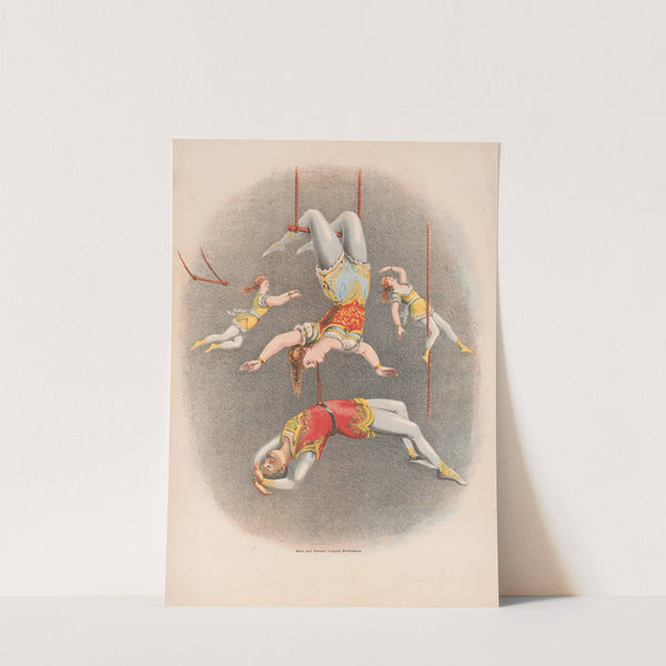 Male and female trapeze performers (1875) by Courier Litho. Co.