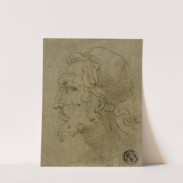 Male Head in Profile by Baldassare Peruzzi