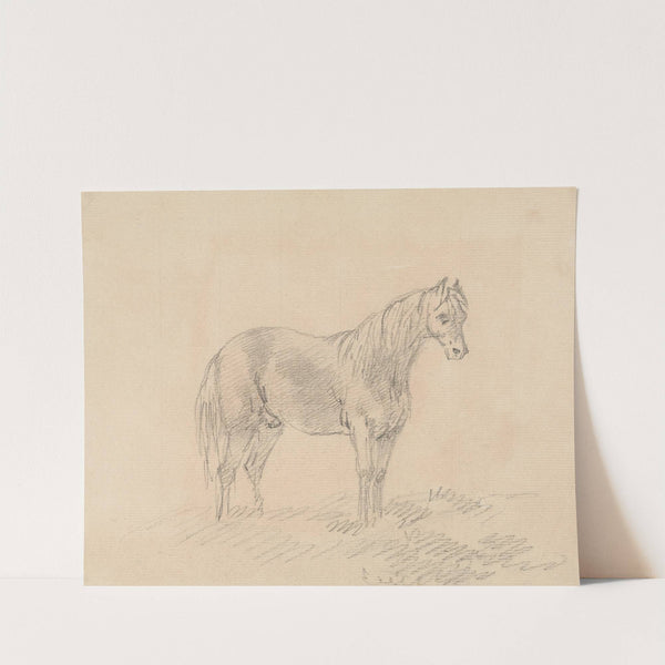 Male Horse by Sawrey Gilpin