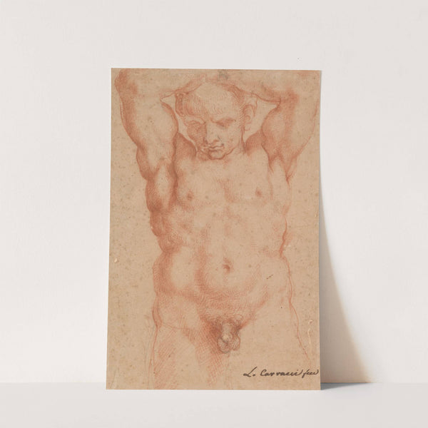 Male Nude by Agostino Carracci