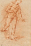 Male Nude